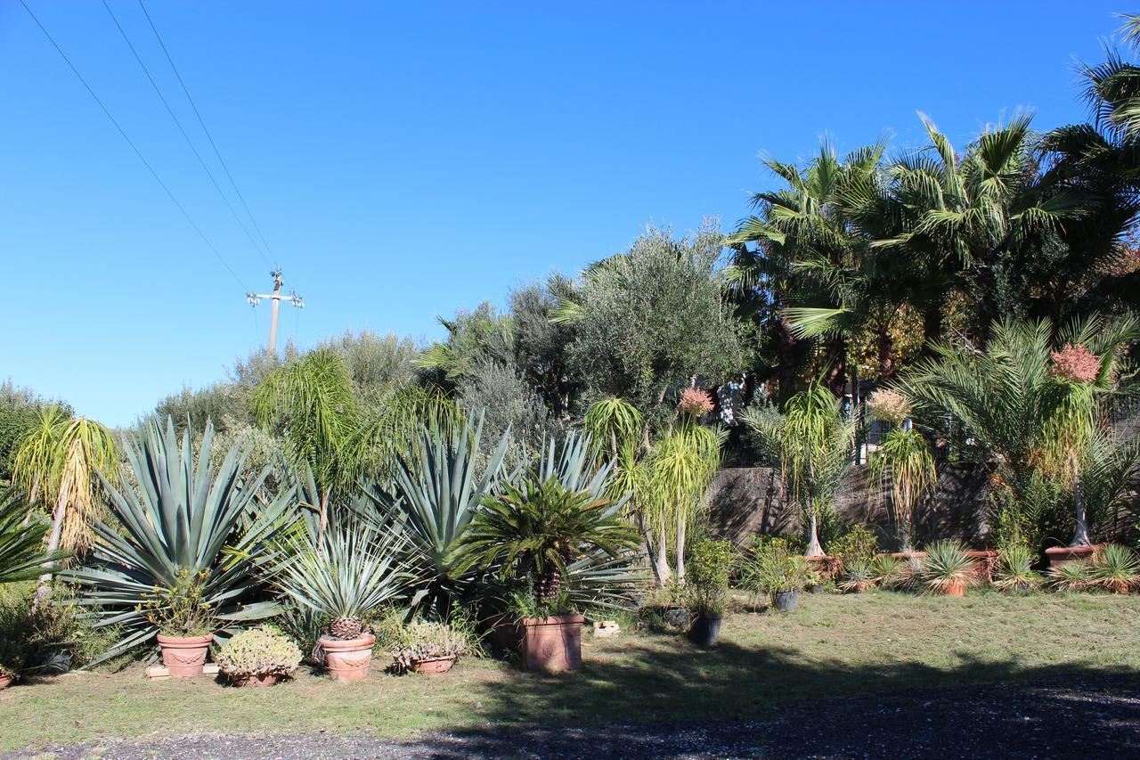 Residence Serrone San Marco di Castellabate エクステリア 写真